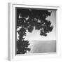 View of Northern Puget Sound-Peter Stackpole-Framed Photographic Print