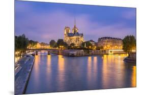 View of Notre Dame De Paris and its Flying Buttresses across the River Seine at Blue Hour, Paris-Aneesh Kothari-Mounted Photographic Print