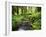 View of Old-Growth Forest, Olympic National Park, Washington State, USA-Stuart Westmorland-Framed Premium Photographic Print