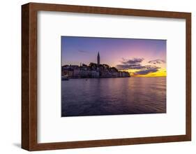 View of Old Town and Cathedral of St. Euphemia after sunset, Rovinj, Istria, Croatia-Frank Fell-Framed Photographic Print