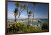 View of Old Town and Harbour with Smeatons Pier Viewed from the Malakoff, St. Ives, Cornwall-Stuart Black-Framed Photographic Print