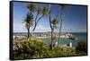 View of Old Town and Harbour with Smeatons Pier Viewed from the Malakoff, St. Ives, Cornwall-Stuart Black-Framed Stretched Canvas