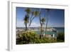 View of Old Town and Harbour with Smeatons Pier Viewed from the Malakoff, St. Ives, Cornwall-Stuart Black-Framed Photographic Print