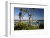 View of Old Town and Harbour with Smeatons Pier Viewed from the Malakoff, St. Ives, Cornwall-Stuart Black-Framed Photographic Print