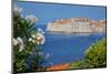 View of Old Town, Cavtat, Dubrovnik Riviera, Dalmatian Coast, Dalmatia, Croatia, Europe-Frank Fell-Mounted Photographic Print