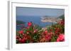 View of Old Town from Above Town-Frank Fell-Framed Photographic Print