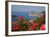 View of Old Town from Above Town-Frank Fell-Framed Photographic Print