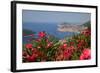 View of Old Town from Above Town-Frank Fell-Framed Photographic Print