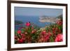 View of Old Town from Above Town-Frank Fell-Framed Photographic Print