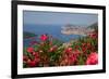 View of Old Town from Above Town-Frank Fell-Framed Photographic Print