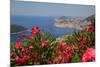 View of Old Town from Above Town-Frank Fell-Mounted Photographic Print