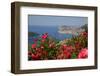 View of Old Town from Above Town-Frank Fell-Framed Photographic Print