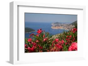 View of Old Town from Above Town-Frank Fell-Framed Photographic Print
