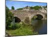 View of Old Town Houses and Old Bridge over Rance River, Dinan, Cotes D'Armor, Brittany, France-Guy Thouvenin-Mounted Photographic Print