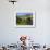 View of Old Town Houses and Old Bridge over Rance River, Dinan, Cotes D'Armor, Brittany, France-Guy Thouvenin-Framed Photographic Print displayed on a wall