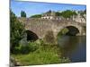 View of Old Town Houses and Old Bridge over Rance River, Dinan, Cotes D'Armor, Brittany, France-Guy Thouvenin-Mounted Photographic Print