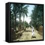 View of Old Town of Biskra (Algeria)-Leon, Levy et Fils-Framed Stretched Canvas