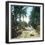 View of Old Town of Biskra (Algeria)-Leon, Levy et Fils-Framed Photographic Print