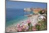 View of Old Town, UNESCO World Heritage Site, and Ploce Beach, Dubrovnik, Dalmatia, Croatia, Europe-Frank Fell-Mounted Photographic Print