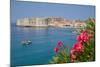 View of Old Town, UNESCO World Heritage Site, Dubrovnik, Dalmatia, Croatia, Europe-Frank Fell-Mounted Photographic Print