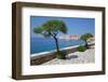 View of Old Town, UNESCO World Heritage Site, Dubrovnik, Dalmatia, Croatia, Europe-Frank Fell-Framed Photographic Print