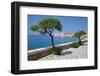 View of Old Town, UNESCO World Heritage Site, Dubrovnik, Dalmatia, Croatia, Europe-Frank Fell-Framed Photographic Print