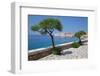 View of Old Town, UNESCO World Heritage Site, Dubrovnik, Dalmatia, Croatia, Europe-Frank Fell-Framed Photographic Print