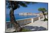 View of Old Town, UNESCO World Heritage Site, Dubrovnik, Dalmatia, Croatia, Europe-Frank Fell-Mounted Photographic Print