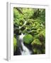 View of Olympic National Park, Stream, Moss-Covered Rocks, Washington, USA-Stuart Westmorland-Framed Premium Photographic Print