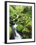 View of Olympic National Park, Stream, Moss-Covered Rocks, Washington, USA-Stuart Westmorland-Framed Premium Photographic Print