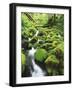 View of Olympic National Park, Stream, Moss-Covered Rocks, Washington, USA-Stuart Westmorland-Framed Photographic Print