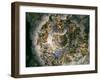 View of Olympus, Home of the Gods, Fresco in the Room of the Giants-Giulio Romano-Framed Giclee Print