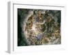 View of Olympus, Home of the Gods, Fresco in the Room of the Giants-Giulio Romano-Framed Giclee Print