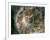 View of Olympus, Home of the Gods, Fresco in the Room of the Giants-Giulio Romano-Framed Giclee Print