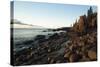 View of Otter Cliffs with Early Morning Light on the Boulders of the Rocky Shoreline-Eric Peter Black-Stretched Canvas