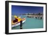 View of Palm Beach from the Fishing Pier Aruba-George Oze-Framed Photographic Print