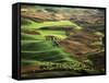 View of Palouse Farm Country Cultivation Patterns, Washington, USA-Dennis Flaherty-Framed Stretched Canvas