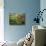 View of Palouse Farm Country Cultivation Patterns, Washington, USA-Dennis Flaherty-Stretched Canvas displayed on a wall