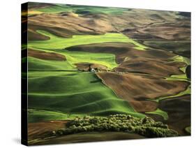 View of Palouse Farm Country Cultivation Patterns, Washington, USA-Dennis Flaherty-Stretched Canvas