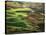 View of Palouse Farm Country Cultivation Patterns, Washington, USA-Dennis Flaherty-Stretched Canvas