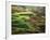 View of Palouse Farm Country Cultivation Patterns, Washington, USA-Dennis Flaherty-Framed Photographic Print