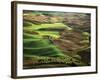 View of Palouse Farm Country Cultivation Patterns, Washington, USA-Dennis Flaherty-Framed Photographic Print