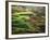 View of Palouse Farm Country Cultivation Patterns, Washington, USA-Dennis Flaherty-Framed Photographic Print