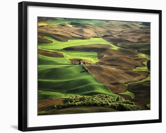 View of Palouse Farm Country Cultivation Patterns, Washington, USA-Dennis Flaherty-Framed Photographic Print