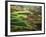 View of Palouse Farm Country Cultivation Patterns, Washington, USA-Dennis Flaherty-Framed Photographic Print