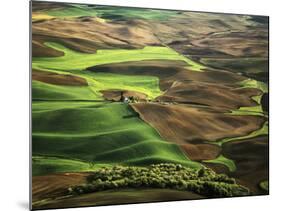 View of Palouse Farm Country Cultivation Patterns, Washington, USA-Dennis Flaherty-Mounted Photographic Print