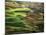 View of Palouse Farm Country Cultivation Patterns, Washington, USA-Dennis Flaherty-Mounted Photographic Print