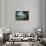 View of Paraggi-Guido Cozzi-Framed Stretched Canvas displayed on a wall