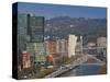 View of Parque Etxebarria Park, Bilbao, Spain-Walter Bibikow-Stretched Canvas