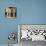 View of Part of Cloister and Courtyard of Bou Inania Madrasa, Fes, Morocco-null-Photographic Print displayed on a wall